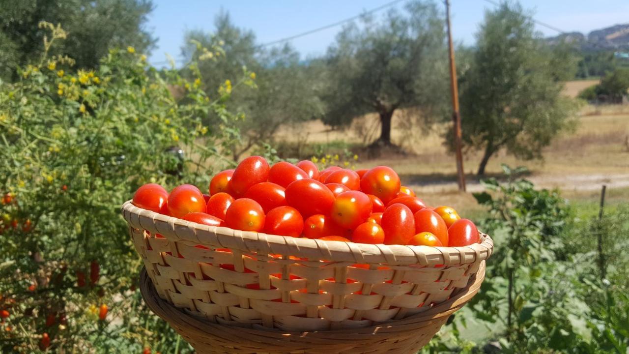 Residence Il Villaggio Del Re Corropoli エクステリア 写真